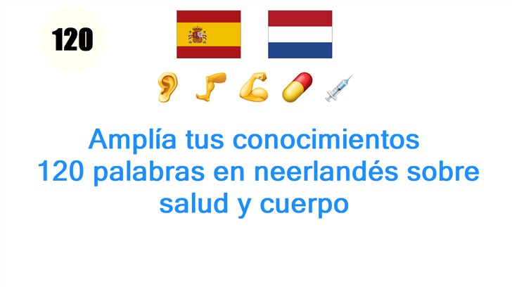 Amplía tus conocimientos: 120 palabras en neerlandés sobre salud y cuerpo